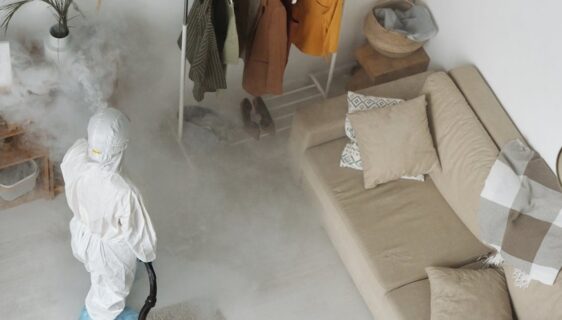 services professionnels de lutte contre les nuisibles pour protéger votre maison et votre entreprise efficacement.