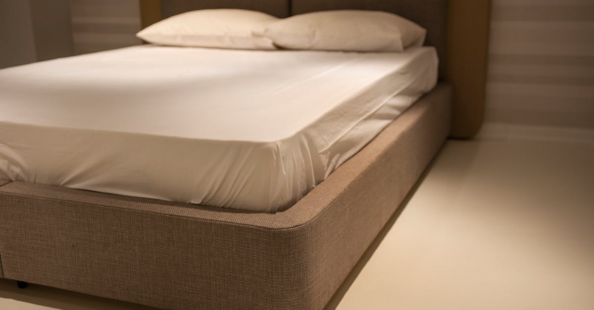 housse de matelas avec poignées pratiques, facile à manipuler et à protéger votre matelas contre les taches et la poussière.