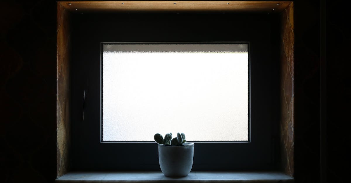 découvrez la couleur idéale pour rafraîchir une pièce sombre et apporter lumière et vitalité à votre intérieur.