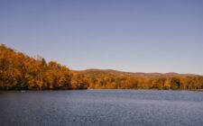 découvrez la couleur idéale pour rafraîchir une pièce sombre et lui apporter lumière et vitalité.
