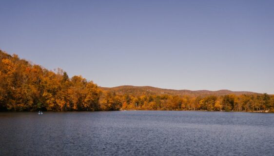 découvrez la couleur idéale pour rafraîchir une pièce sombre et lui apporter lumière et vitalité.