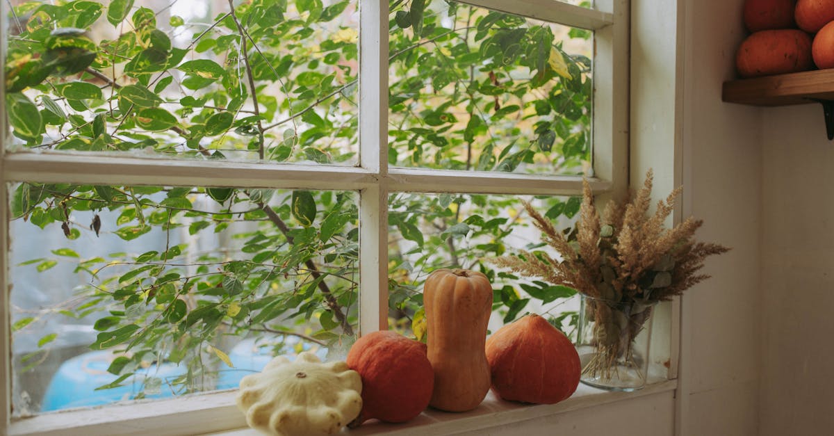 protection d'hiver pour stores extérieurs : protégez efficacement vos stores contre les intempéries hivernales pour leur garantir durabilité et performance.