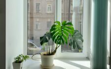 protection d'hiver pour stores extérieurs : préservez vos stores contre le gel, la neige et les intempéries pour une durabilité optimale toute la saison froide.