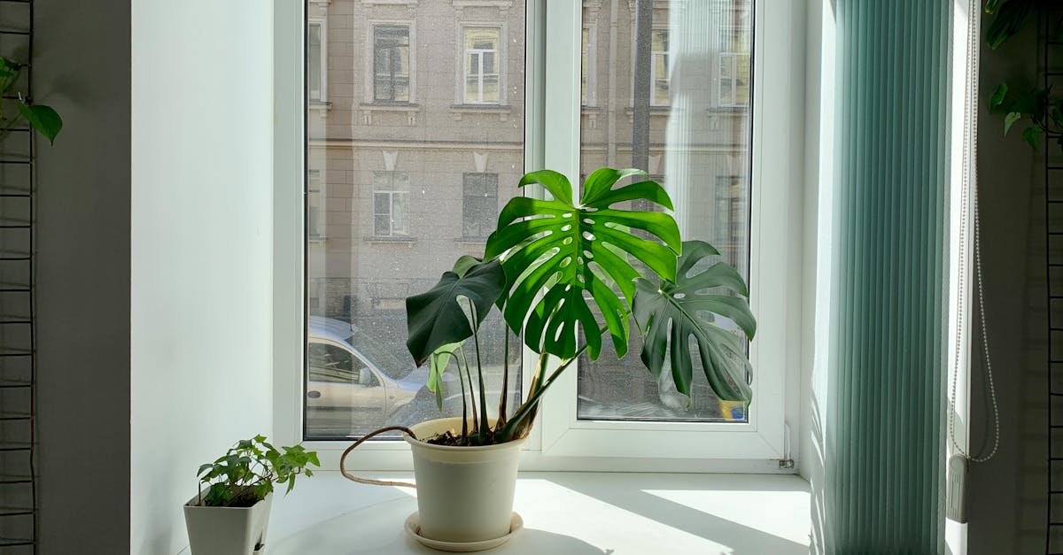 protection d'hiver pour stores extérieurs : préservez vos stores contre le gel, la neige et les intempéries pour une durabilité optimale toute la saison froide.