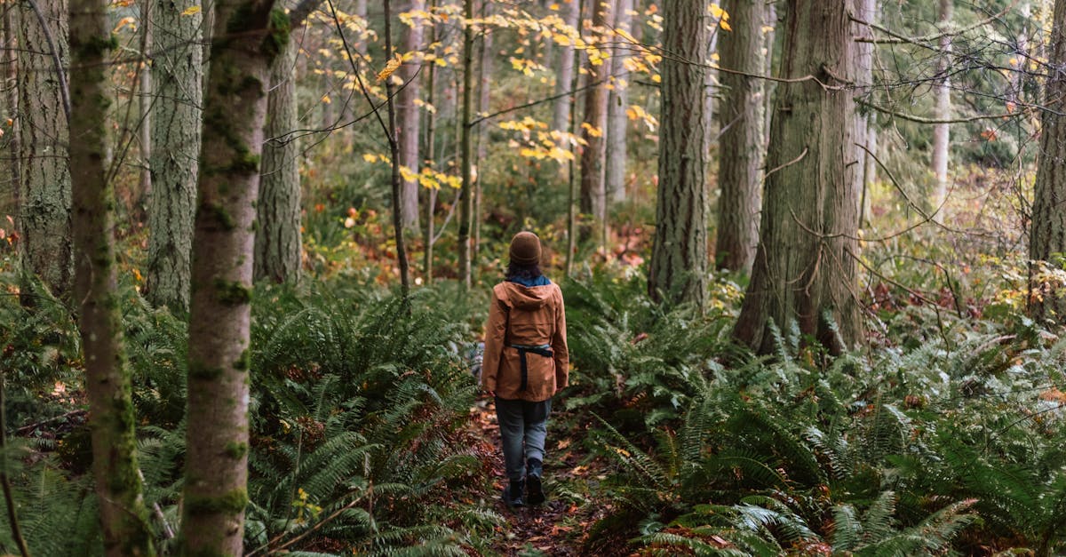 découvrez notre verre trempé de haute qualité, offrant une protection optimale et une résistance exceptionnelle pour vos écrans et surfaces.