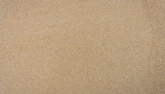 découvrez toutes les informations sur nos garanties, conditions et services pour assurer la protection de vos achats.