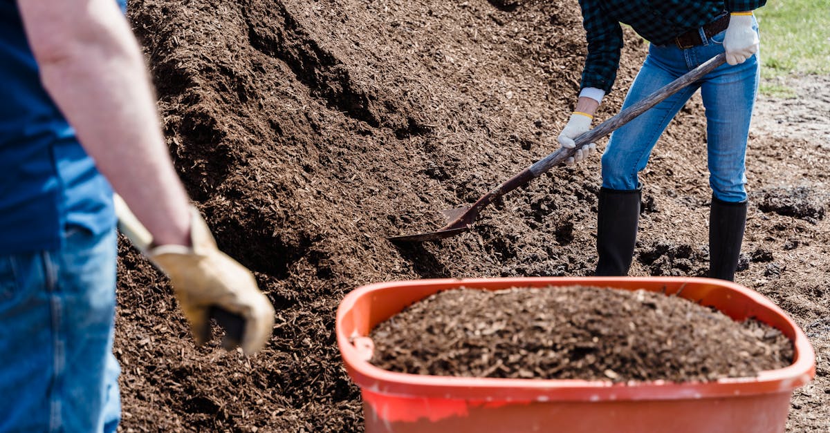 vente de compost de qualité pour enrichir votre jardin et améliorer la santé de vos plantes. compost écologique, naturel et prêt à l'emploi.