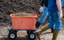 vente de compost de qualité pour jardinage et agriculture. améliorez la fertilité de votre sol avec notre compost naturel et écologique.
