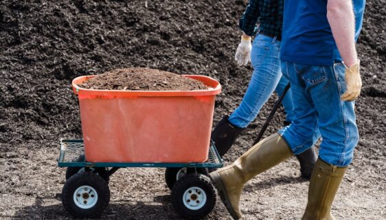 vente de compost de qualité pour jardinage et agriculture. améliorez la fertilité de votre sol avec notre compost naturel et écologique.