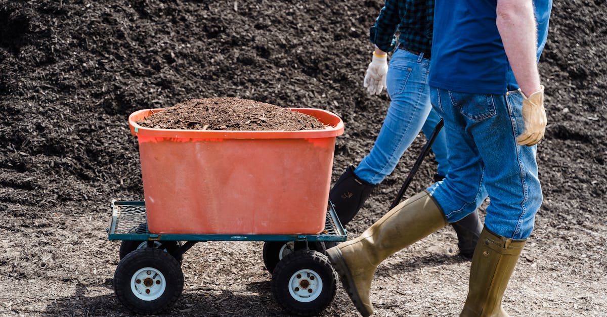 vente de compost de qualité pour jardinage et agriculture. améliorez la fertilité de votre sol avec notre compost naturel et écologique.