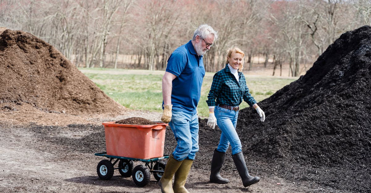 découvrez comment créer un compost domestique efficace pour réduire vos déchets organiques et enrichir votre jardin naturellement.