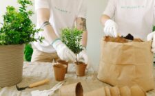 découvrez comment créer un composteur à la maison pour recycler vos déchets organiques facilement et enrichir votre jardin naturellement.