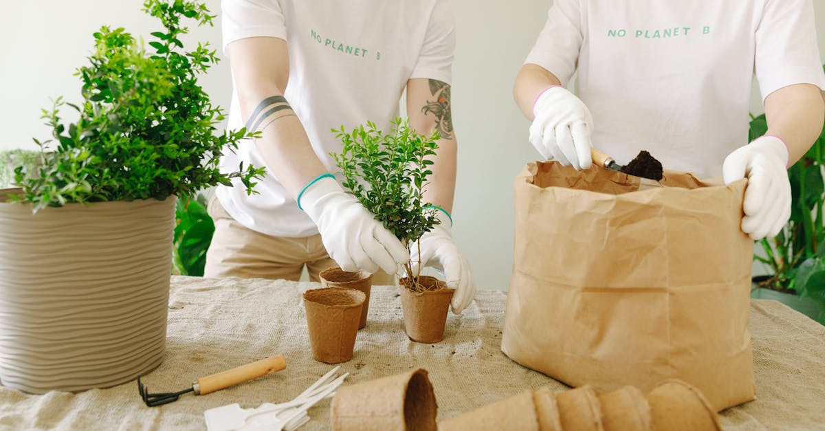 découvrez comment créer un composteur à la maison pour recycler vos déchets organiques facilement et enrichir votre jardin naturellement.