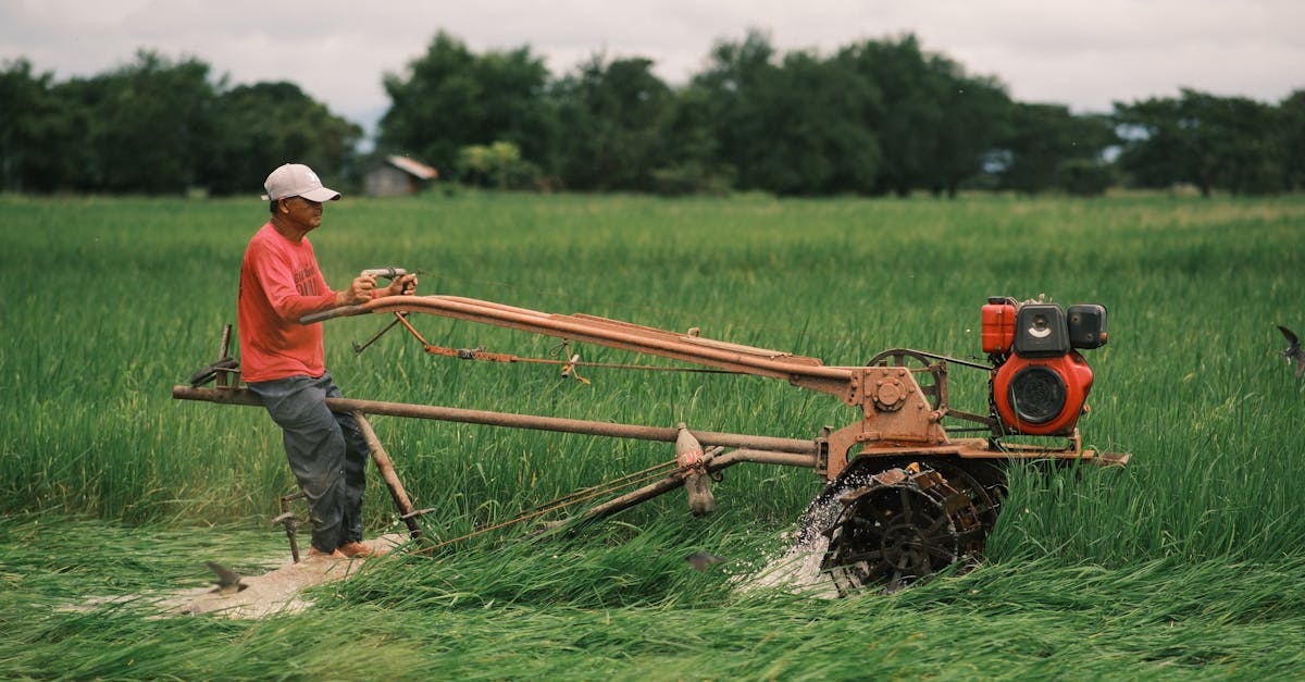 découvrez les techniques efficaces de désherbage manuel pour un jardin sain et sans mauvaises herbes. apprenez à entretenir vos plantes naturellement.
