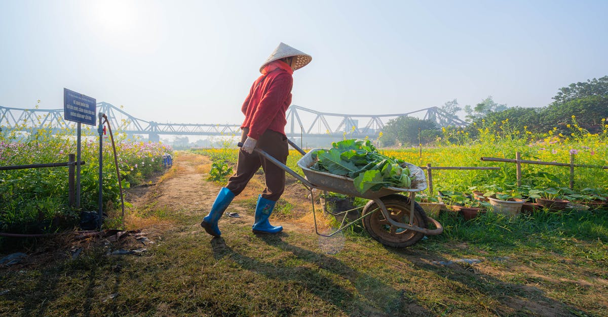 découvrez les techniques efficaces de désherbage manuel pour maintenir votre jardin propre et sain sans utiliser de produits chimiques.