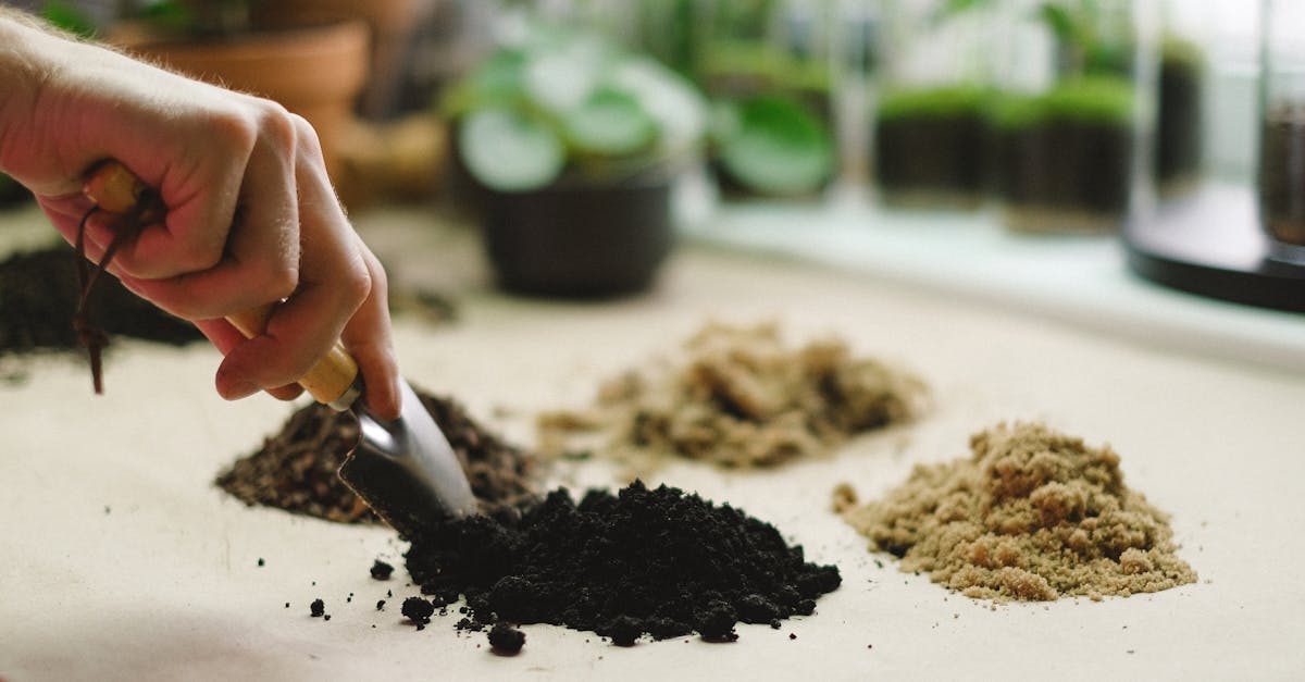 découvrez les avantages du sol sans tourbe, une alternative écologique et durable pour vos plantations et jardins.