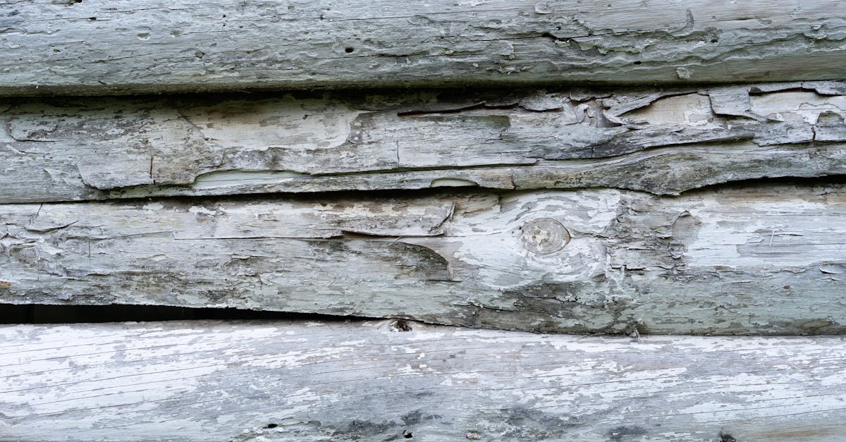 découvrez le charme du bois vieilli, une matière qui apporte authenticité et caractère à vos projets de décoration et de rénovation.