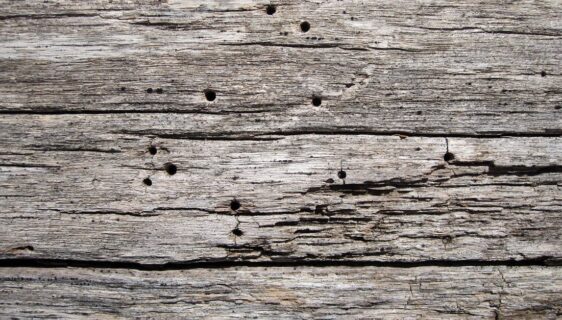 découvrez la beauté authentique du bois vieilli, une matière naturelle qui apporte charme et caractère à vos projets de décoration et d'aménagement.