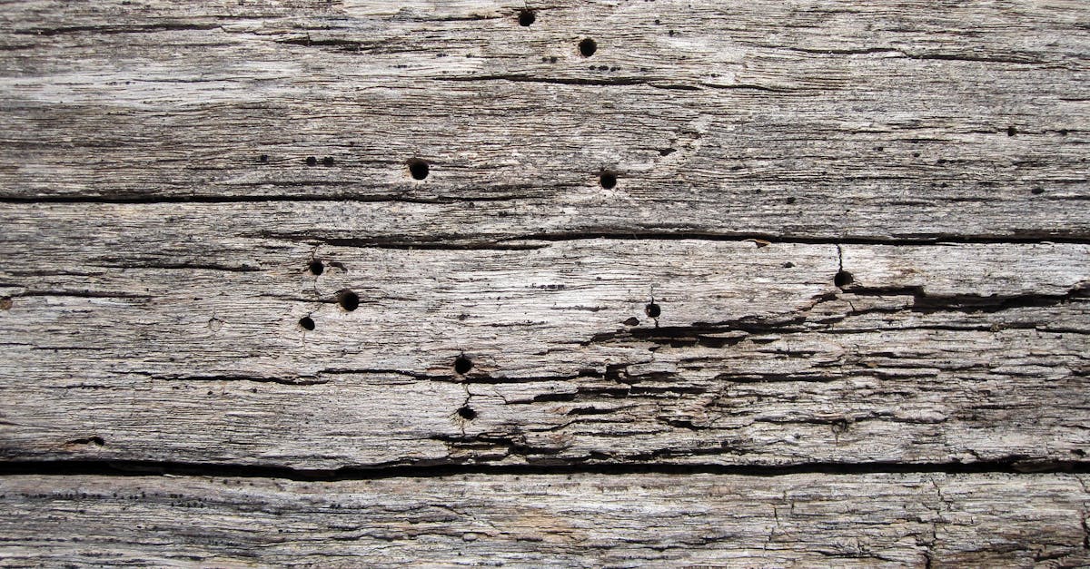 découvrez la beauté authentique du bois vieilli, une matière naturelle qui apporte charme et caractère à vos projets de décoration et d'aménagement.