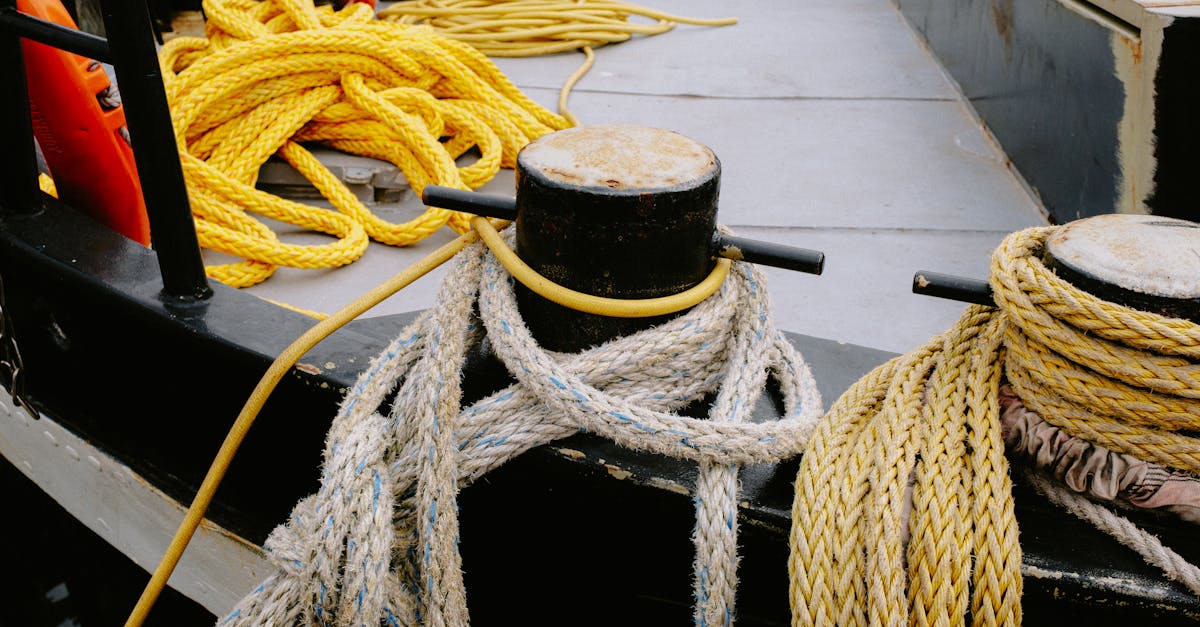 découvrez notre sélection de treuils robustes et efficaces pour toutes vos opérations de levage et de traction. fiabilité, puissance et sécurité garanties.