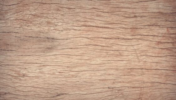 découvrez notre texture de grain de bois réaliste, idéale pour apporter une touche naturelle et chaleureuse à vos designs et projets créatifs.