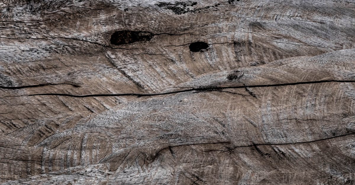 découvrez notre large gamme d'imitations de bois alliant esthétique naturelle et durabilité. parfait pour tous vos projets de décoration et rénovation.