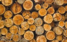 découvrez le motif en bois répétitif, une texture naturelle et esthétique idéale pour vos projets de design et décoration.