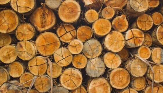 découvrez le motif en bois répétitif, une texture naturelle et esthétique idéale pour vos projets de design et décoration.