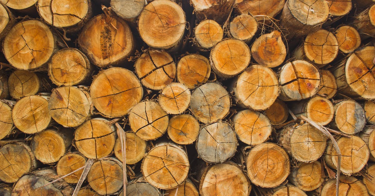 découvrez le motif en bois répétitif, une texture naturelle et esthétique idéale pour vos projets de design et décoration.