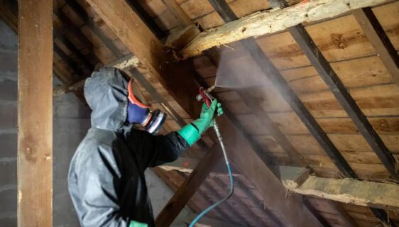 Traitement de charpente au Xylophène