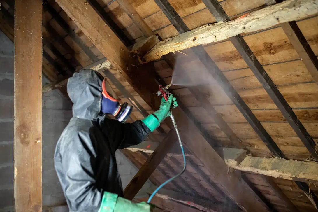 Traitement de charpente au Xylophène