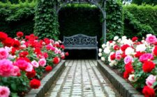 floraisons maîtrisées