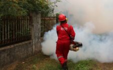 Fumigène insecticide