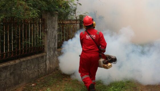 Fumigène insecticide