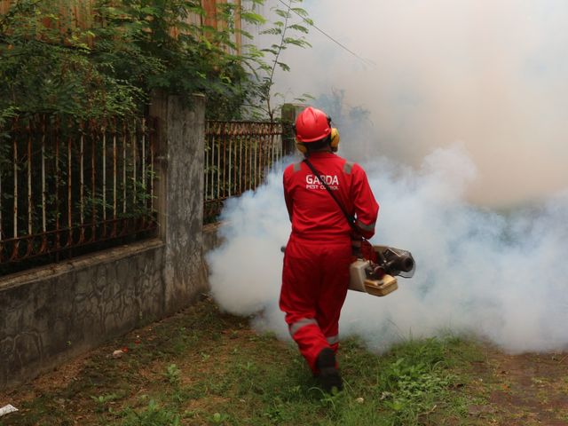 Fumigène insecticide